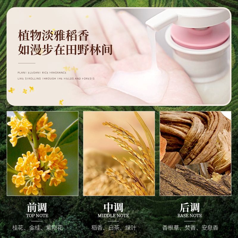 Changfa Xiaozhai Rice Water Sh - Hair Care With Rice Water avis et prix