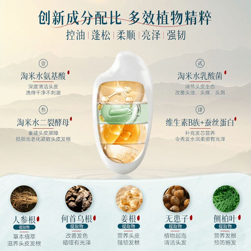 Changfa Xiaozhai Rice Water Sh - Hair Care With Rice Water avis et prix