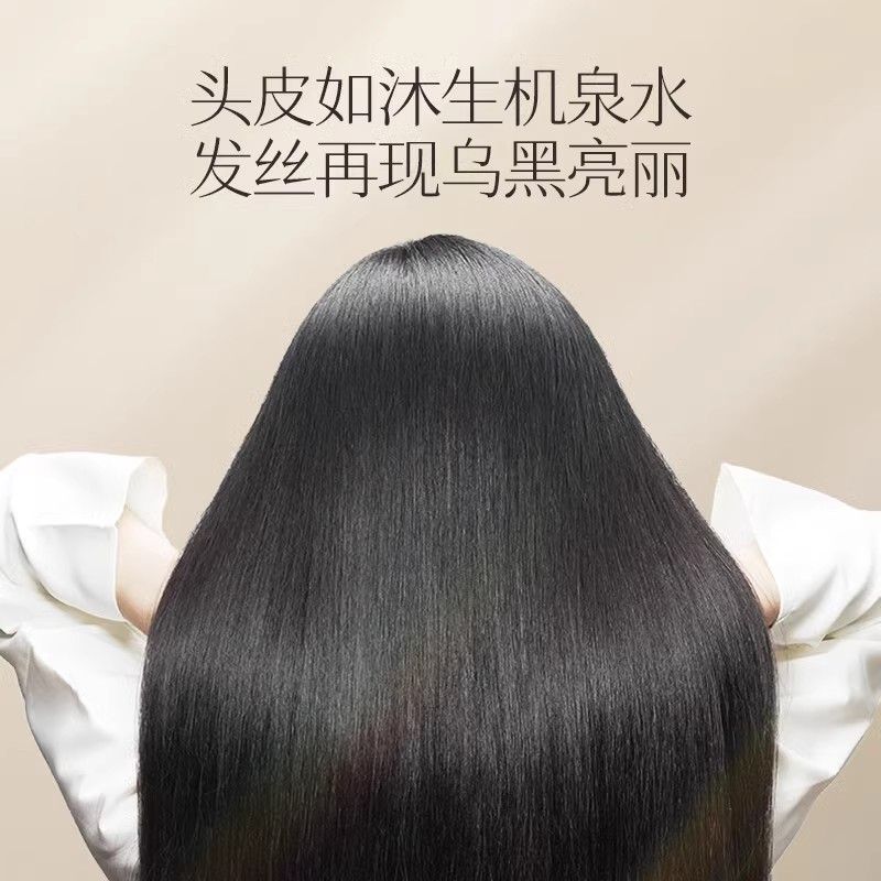 Changfa Xiaozhai Rice Water Sh - Hair Care With Rice Water avis et prix